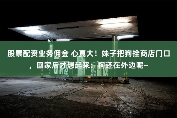 股票配资业务佣金 心真大！妹子把狗拴商店门口，回家后才想起来：狗还在外边呢~