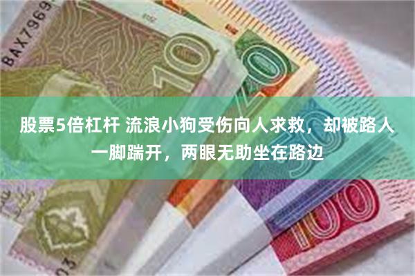 股票5倍杠杆 流浪小狗受伤向人求救，却被路人一脚踹开，两眼无助坐在路边