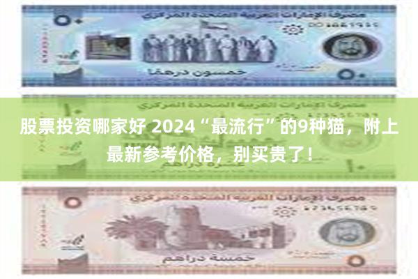 股票投资哪家好 2024“最流行”的9种猫，附上最新参考价格，别买贵了！