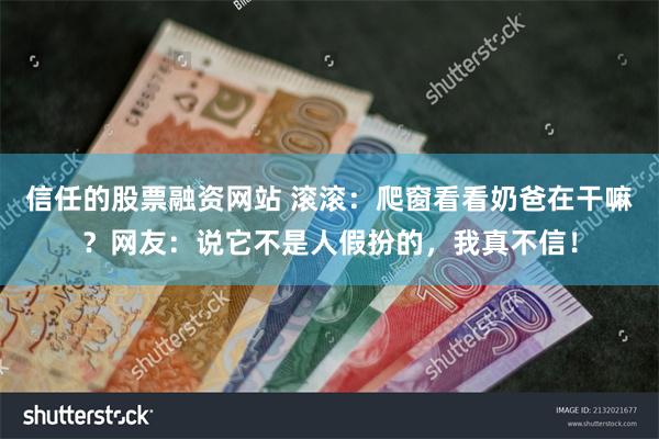 信任的股票融资网站 滚滚：爬窗看看奶爸在干嘛？网友：说它不是人假扮的，我真不信！