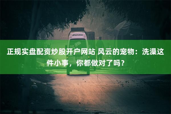 正规实盘配资炒股开户网站 风云的宠物：洗澡这件小事，你都做对了吗？