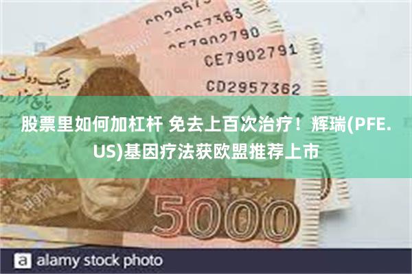 股票里如何加杠杆 免去上百次治疗！辉瑞(PFE.US)基因疗法获欧盟推荐上市