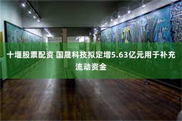 十堰股票配资 国晟科技拟定增5.63亿元用于补充流动资金