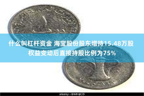 什么叫杠杆资金 海宝股份股东增持15.48万股 权益变动后直接持股比例为75%