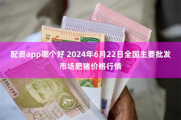 配资app哪个好 2024年6月22日全国主要批发市场肥猪价格行情