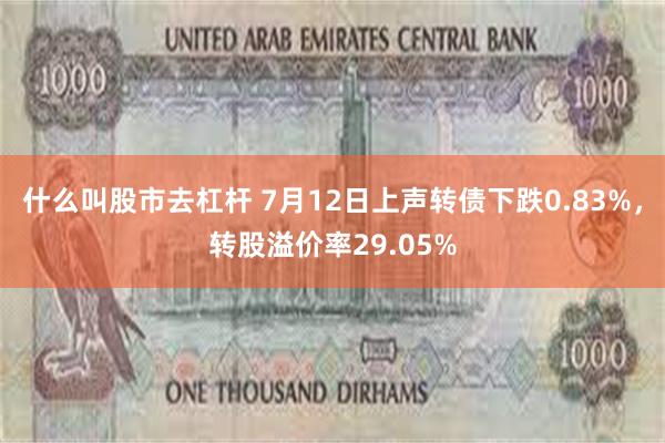 什么叫股市去杠杆 7月12日上声转债下跌0.83%，转股溢价率29.05%