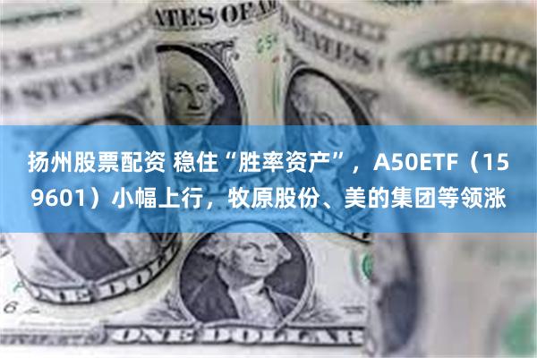 扬州股票配资 稳住“胜率资产”，A50ETF（159601）小幅上行，牧原股份、美的集团等领涨